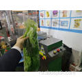 Полуавтоматическая горизонтальная упаковочная машина для овощей из сельдерея